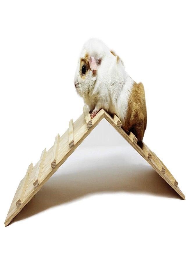 Pulse Brands Wood Bridge for Small Animal Cage or Habitat - Guinea Pigs, Ferrets, Chinchillas, Hedgehog, Dwarf Rabbits and Other Small Animals - Image 2